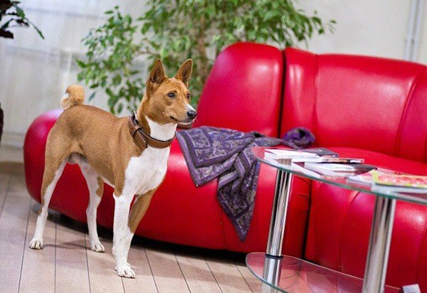 Гостиница 40-й меридиан Арбат Коломна-66