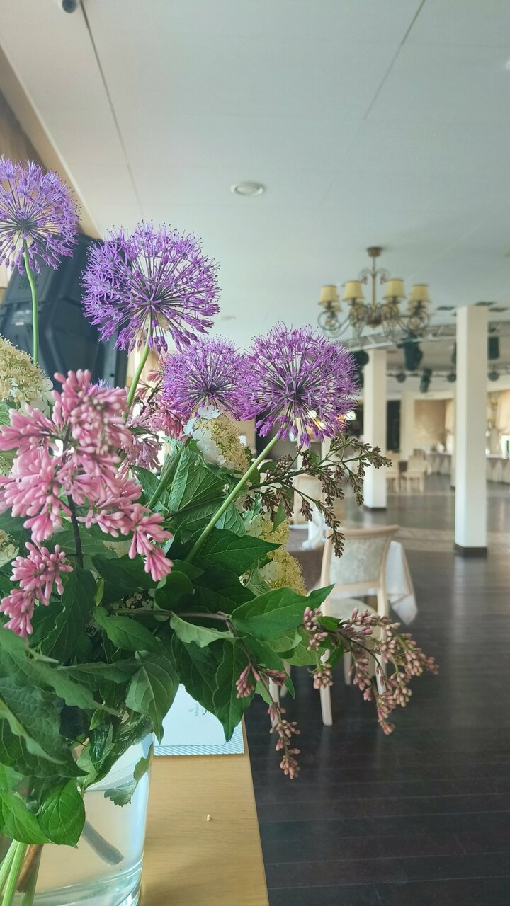 Гостиница 40-й меридиан Арбат Коломна-33